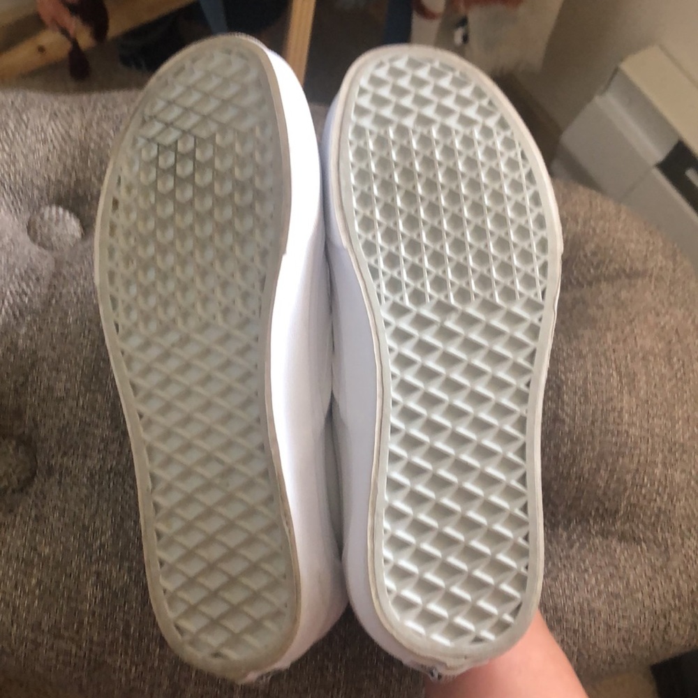 Canvas Vans - Picture 3 of 5